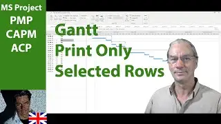 # 54 MS Project 2019 ● Print Only Selected Rows  ● Advanced