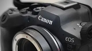 풀프레임 미러리스 R6mark2 EF-EOS R 컨트롤링 어댑터로 EF렌즈 RF렌즈 함께 쓰기(시그마 텔레컨버터 2배율 포함) 중급기가 아닌 것 같아요. [내돈내산 사용후기]
