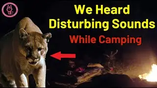 We Heard Terrifying Sounds While Camping!! Aidan Clune
