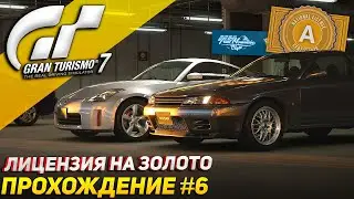 Получаем всё золото в национальной лицензии 