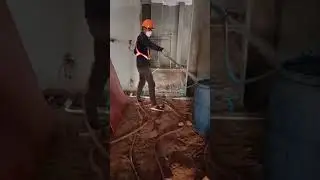 Anti-Termite Service #youtube#youtubeshorts #youtuber #youtubeshort #like #dog #animals
