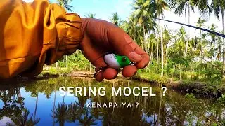 casting ikan gabus tapi sering mocel