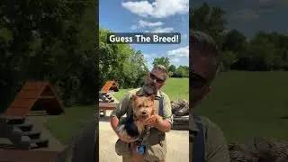 Guess The Breed & Why Rita Mae Is Staying With Us!