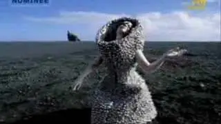 Bjork who is it vitalic remix