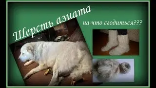 Пояс из собачьей шерсти.