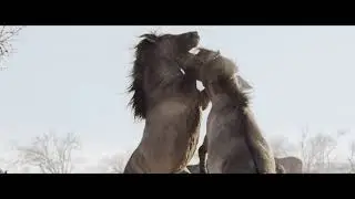 FRIDAY - All My Life [WWF-Voice For The Planet] (Official Video)