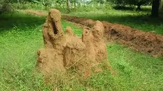 Secret Places of Mushrooms || ಆಣೆಬೆಗಳು ಸಿಗುವಂತ ಜಾಗ || ismart Diganth
