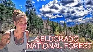 Scenic Drive Through The Sierra Mountains 4K