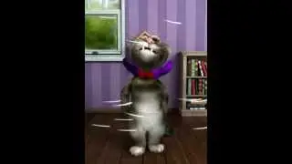 Tom le chat :D