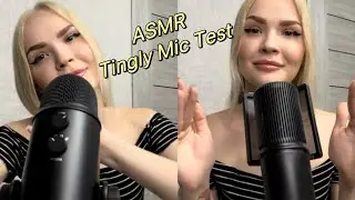ASMR Tingly Mic Competition: Cougar vs Blue Yeti