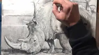Come disegnare un rinoceronte parte 17