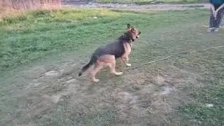 Купер и Мэй