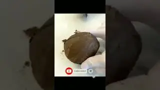 Amazing chocolate Art 😱 | Chocolate Art And Craft | How Ro Make Chocolate Cake | Homemade #shorts