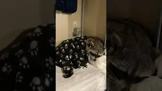 Самые удобные позы для сна в поезде