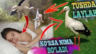 TUSHDA LAYLAK KO'RSA NIMA BO'LADI | ТУШДА ЛАЙЛАК КУРСА НИМА БУЛАДИ ТУШ ТАБИРИ