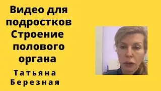 Видео для подростков - 1. Строение мужских органов. Чего вы могли не знать.