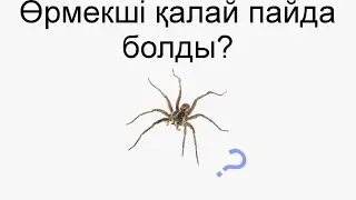 Өрмекші қалай пайда болды? жәнеде не үшін торын бұзуға болмайды?/Аңыз
