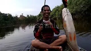 Mancing Monster Hampala barengan Ayub Angler sejati dan kang Adi
