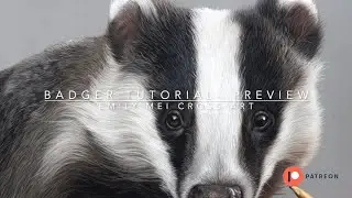 Badger tutorial preview #beginnerartists #pastelpencils #patreon #softpastels
