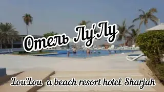 ОАЭ- 2023 Отель Лу'лу ( Lou'Lou beach resort) Обзор ресепшена и стандартного номера отеля 