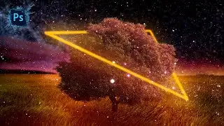 Photoshop manipulation effect neon in the tree