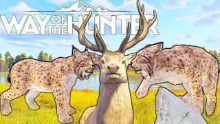Revenge on The Northern Lynx and a Red Deer Massacre | Way of the Hunter