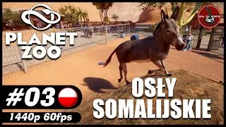 Osły somalijskie | #3 | Planet Zoo PL