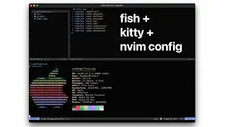 my minimal kitty + fish + neovim setup