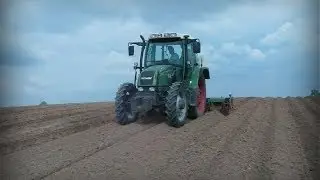 Fendt 309 + Remprodex - Formowanie Ziemniaków 2014