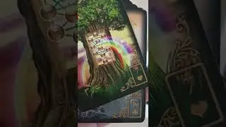 Подсказка на сегодня🍀 
