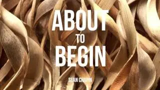 Sean Chapin - About To Begin (Official Audio)