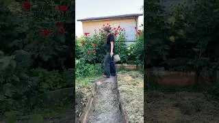 Ценное удобрение