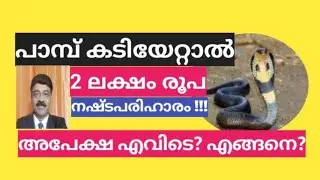 പാമ്പ് കടിയേറ്റാൽ നഷ്ടപരിഹാരം കിട്ടും | Compensation for Snake Bite.