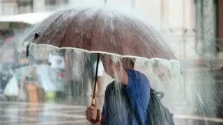 No Copyright Video Rainforest Rain Sounds for Sleeping or Studying 🌧️ Nature enjoyment