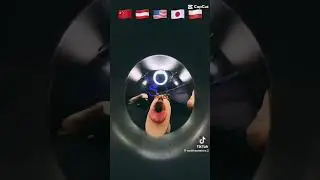 Пов:я после 6 уроков🦫🦫