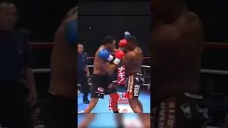badr hari vs alistair overeem 2