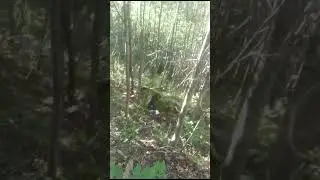НАШЛИ ЗАБРОШЕННЫЙ БУНКЕР В ЛЕСУ. 