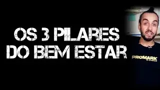 Os 3 pilares do bem estar / Gus Conde