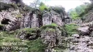 Val Gulva