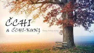 Životní energie čchi a čchi-kung ♡ Yang Jwing-ming ⭐️