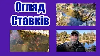 Огляд ставків. Весна 2024