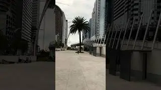 Прогулка по #batumi #georgia #travel #прогулкассобакой #beach #ретривер #shorts
