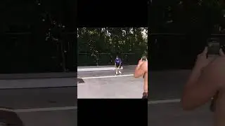 Wakyo / Ollie