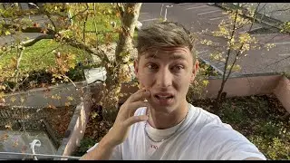 Dieses Video Wird Wieder GELÖSCHT.....