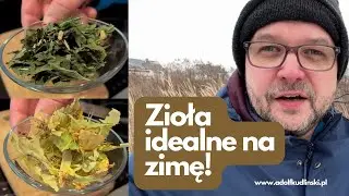 Zioła idealne na zimę - zadziałaj naturalnie
