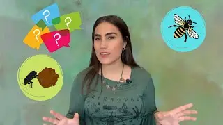 ¡¿Un mundo sin insectos?!