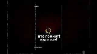 14 августа 2024 г.