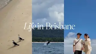 living in brisbane | whale-watching at moreton island | vlog