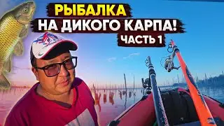 Два дня на озере. Костерок, готовлю на свежем воздухе, ночевка в палатке на берегу. Часть 1