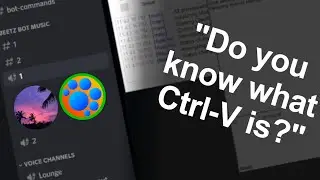 i trolled a discord music bot developer...